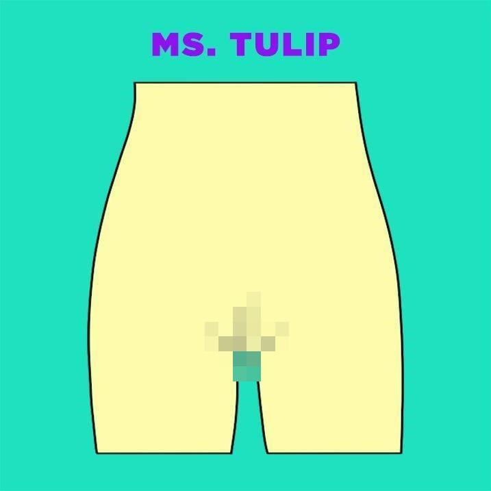 Did you know that there are 5 types of vaginas? 8 Vaginas3 blurred tmp